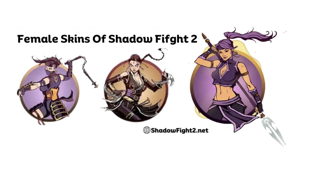 Shadow Fight 2 Themes
